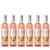 Gallo Spritz Pfirsich Nektarine rosé