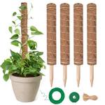 Garden Sage Moosstab