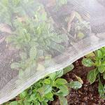 Garden Tailor Gemüseschutznetz