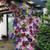 Gardeners Dream ‎Clematis Regenbogen