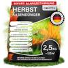 Herbstrasendünger von GardFlix