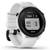 Garmin Approach S12