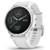 Garmin Fenix 6S