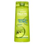 Garnier Fructis Kraft & Glanz 2-in-1