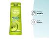 Fructis Kraft & Glanz von Garnier