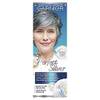 Perfect Silver von Garnier