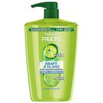 Garnier Shampoo CH-TV-1698