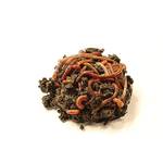 Generisch Kompostwürmer