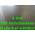 Stegplatten von AMN Alliance