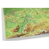 Georelief Deutschland Reliefkarte von Georelief