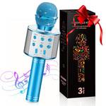 Geschenpark Karaoke Mikrofon