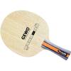 Hybrid Carbon M von Gewo