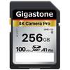 SDXC 256 GB von Gigastone