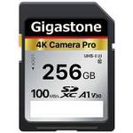 Gigastone SDXC 256 GB