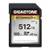 Gigastone SDXC-Speicherkarte
