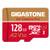Gigastone 4351500313