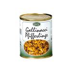 Gilli Pfifferlinge