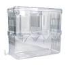 Zuchtbox von Gittcoll