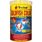 Tropical Goldfish Color