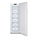Gorenje FN 4172 CW