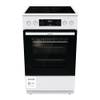 GECS5C 60 von Gorenje