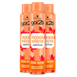 Got2b Trockenshampoo