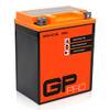 GP-009 von GP-PRO
