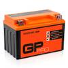 GTZ12S von GP-PRO