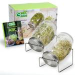 Green Seeds Sprossenglas