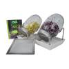 Sprossenglas Lukra von Green SEEDS