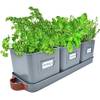 2309 von Green Thumbz