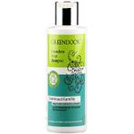 Greendoor Basisches Natur Shampoo Eisenkraut Kamille
