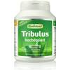 Tribulus Terrestris von Greenfood
