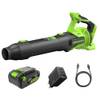 BL24515A2 von Greenworks