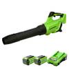 GD40ABK2X von Greenworks