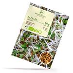 Growgreens Alfalfasprossen