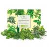 Bio Kräutersamen-Set von Growgreens