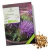 Mariendistelsamen von Growgreens