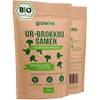 Ur-Brokkoli-Samen von growme