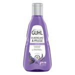 Guhl Silberglanz & Pflege Shampoo