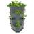Gusta Garden Paul Potato Starter