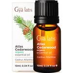 Gya Labs Zedernöl