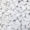 Carrara von Hamann Mercatus