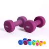 Aerobic Hantel von Hansson.Sports