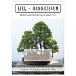 HappySeed Berg-Mammutbaum