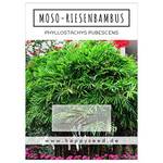 HappySeed Moso-Riesenbambus
