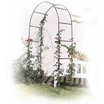 Haushalt International 62308