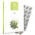 Healthspan Salbei
