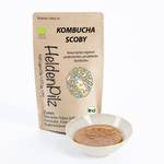 Heldenpilz Kombucha Teepilz