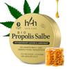 Bio Propolis Salbe von Hemp Help HEMP COSMETIC